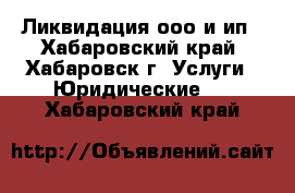 Ликвидация ооо и ип - Хабаровский край, Хабаровск г. Услуги » Юридические   . Хабаровский край